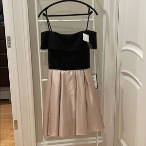 Betsy Adam Dress